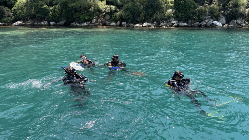 Martı Marina Ve Akdeniz Koruma Derneği İle Geleceğe Temiz Bir Miras 